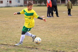 9游游戏官网-中超冠军梦碎后,蓉城要在亚洲赛场重塑信心,中甲成都蓉城今天比赛结果